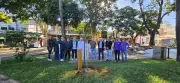 Funerária troca enterros por plantio de 100 árvores em Presidente Prudente
