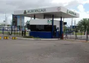 Grupo colombiano Daabon conclui compra da Agropalma e assume controle no Pará