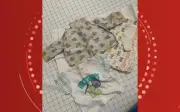 Grupo que entregava bebês em caixas na BA mobiliza adotados em busca da origem