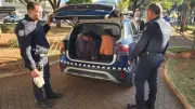 Guarda detém mais dois homens por atos obscenos em banheiro público em Limeira