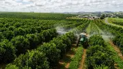 Gulf participa da Bahia Farm Show com produtos certificados e inovação