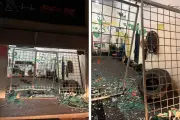 Homem joga carro contra estúdio de personal por ciúmes em Campo Grande