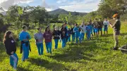 Hospital São José celebra Dia Mundial do Meio Ambiente com plantio de 200 mudas