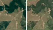 Imagens de satélite 6x mais precisas redefinem fiscalização ambiental no Brasil