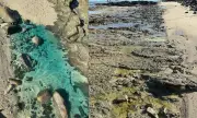 Inema multa empresas em R$ 70 milhões por contaminação em praia de Salvador