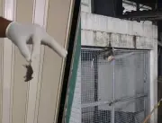 Infestação de ratos no Hospital Agamenon Magalhães preocupa pacientes e funcionários no Recife
