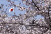 Japão aumenta taxas de visto em até 5 vezes após 50 anos