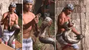 Jiboia de 2 metros é resgatada em Vitória e batizada de 'Hexa' por crianças