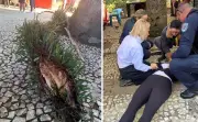 Jovem com lesão medular é aprovada para tratamento experimental