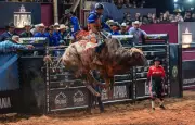 Líder da PBR domina 2ª noite de montaria em touros em Americana