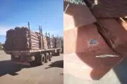 Madeira impregnada com cocaína: PF analisa carga de 260 toneladas