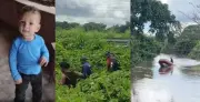 Mãe de bebê desaparecido no Pará faz apelo emocionado: 'Volta, filho'
