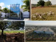 MEC concede nota máxima ao curso de Ciências Biológicas da UniGoyazes