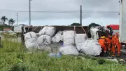 Motorista de caminhão morre em acidente na BR-101 em Jaboatão