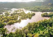 MPF tenta barrar acordo de crédito de carbono no Pará e gera polêmica