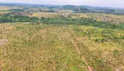 MPRO pede R$ 90 milhões por desmate de área equivalente a 1.700 campos de futebol