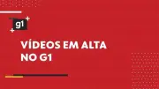 Mulher de 39 anos é encontrada morta em casa na Zona Sul de SP; companheiro também morre