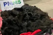 Mulher é flagrada com 38 kg de cabelo humano sem nota fiscal em MS