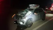 Mulher morre após carro atingir boi na BR-265 em Tiradentes