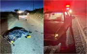 Mulher morre atropelada por Gol sob forte neblina na MG-335 em Ijaci