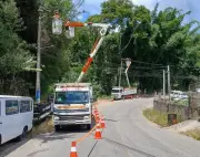 Mutirão de podas de árvores em Barra Mansa reforça segurança elétrica