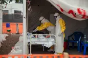 OMS reduz casos suspeitos de Ebola de 906 para 116 após descartar centenas