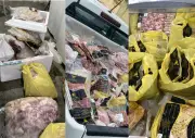 Operação apreende 975 kg de alimentos impróprios em Lauro de Freitas