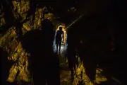 Ouro de sangue: grupos armados dominam mineração na Venezuela