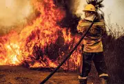 Pantanal se prepara para 'super El Niño' com ações preventivas contra incêndios