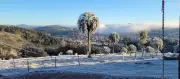 Pará previsão geadas fortes e recorde de frio, diz meteorologista