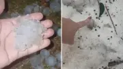 Paraná: granizo do tamanho de ovos e camadas de gelo de 30 cm