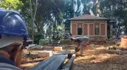 Parque Trianon na Paulista ganha restaurante até agosto