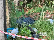 Partes de corpo em bolsa são achadas em Rio Branco