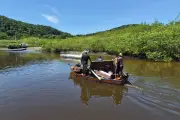 Pescadores retiram 24 toneladas de lixo do mar em Ubatuba e São Sebastião