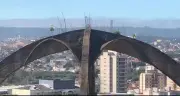 Plantas brotam em estrutura de concreto e viram atração em Sorocaba