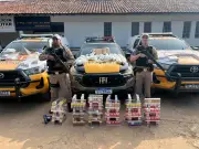 PM apreende 11 mil papelotes de cocaína e contrabando em caminhão na BR-135