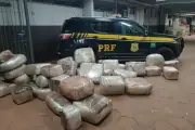 PRF apreende 583 kg de drogas em caminhão na BR-262 em Miranda