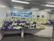 PRF apreende mais de 200 kg de maconha em caminhão na BR-101 em Campos