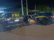 PRF resgata cerca de 250 pássaros silvestres em Parnamirim