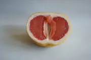 Primeiro mapa 3D dos nervos do clitóris revela nova anatomia