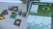 Professora cria álbum de figurinhas da Copa para alunos com deficiência