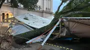 Árvore cai sobre tendas em Piracicaba após 49 mm de chuva; ninguém ferido
