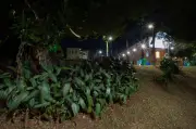 Só 20% das lâmpadas de rua são LED: conversão pode render R$ 5 bi