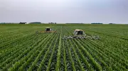 SLC Agrícola avalia compra de terras da Radar após venda de 12% do portfólio