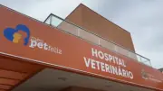 São José dos Campos terá hospital veterinário público 24h na Zona Sul