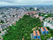 São Paulo perde área verde e busca reverter tendência com novos projetos