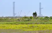 Starbase: A cidade da SpaceX que divide moradores no Texas entre progresso e prejuízos