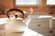 Três chás sem cafeína para preparar em casa: hibisco, amora e camomila