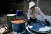 UE aposta em proposta sustentável para terras raras no Brasil