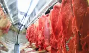 UE retira Brasil de lista de exportação de carnes e produtos animais